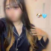 ヒメ日記 2025/07/31 22:22 投稿 みなみ ベイビーモコ