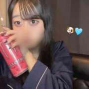 ヒメ日記 2025/08/01 12:56 投稿 みなみ ベイビーモコ