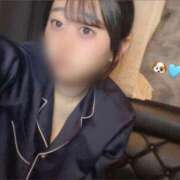 ヒメ日記 2025/08/11 13:20 投稿 みなみ ベイビーモコ