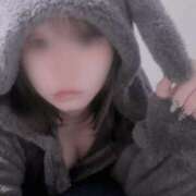 ヒメ日記 2025/11/12 01:38 投稿 みなみ ベイビーモコ