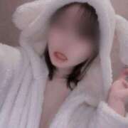 ヒメ日記 2025/11/20 10:01 投稿 みなみ ベイビーモコ