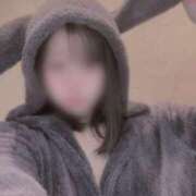 ヒメ日記 2025/12/15 09:00 投稿 みなみ ベイビーモコ