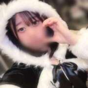 ヒメ日記 2025/12/25 15:00 投稿 みなみ ベイビーモコ