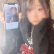 ヒメ日記 2026/01/05 14:17 投稿 みなみ ベイビーモコ