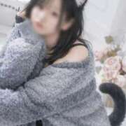 ヒメ日記 2026/02/22 12:00 投稿 みなみ ベイビーモコ