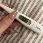 ヒメ日記 2025/02/11 13:47 投稿 ユメ(姫) 奥様幕府