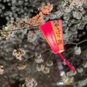 ヒメ日記 2025/04/04 20:40 投稿 涼華（リョウカ） アロマ新横浜