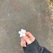 ヒメ日記 2025/04/06 05:00 投稿 クルミ Club Hearts