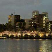 ヒメ日記 2025/04/15 00:11 投稿 クルミ Club Hearts