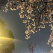 ヒメ日記 2025/04/21 02:22 投稿 クルミ Club Hearts