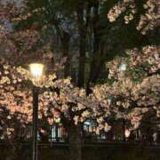 ヒメ日記 2025/04/23 00:08 投稿 クルミ Club Hearts