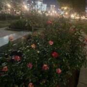 ヒメ日記 2025/10/31 19:00 投稿 クルミ Club Hearts