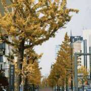 ヒメ日記 2025/12/13 19:00 投稿 クルミ Club Hearts