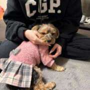 ヒメ日記 2025/12/22 19:00 投稿 クルミ Club Hearts