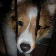 ヒメ日記 2026/03/03 18:30 投稿 クルミ Club Hearts