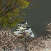 ヒメ日記 2026/04/06 14:00 投稿 クルミ Club Hearts