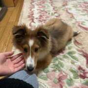 ヒメ日記 2026/04/07 14:00 投稿 クルミ Club Hearts