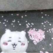 ヒメ日記 2025/04/02 20:47 投稿 うい ぽちゃ巨乳専門　新大久保・新宿歌舞伎町ちゃんこ