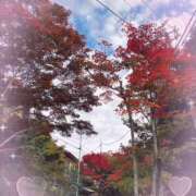 きゅる きゅる池袋到着してます🌟 池袋あられ