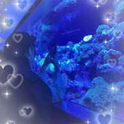 きゅる きゅる到着しました🌟 池袋あられ