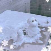 きゅる きゅるです🐾 池袋あられ