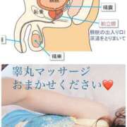 ヒメ日記 2025/03/29 12:20 投稿 小賀　たまき 回春マッサージメンズエステ宇都宮