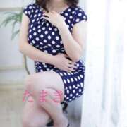 ヒメ日記 2025/03/31 11:28 投稿 小賀　たまき 回春マッサージメンズエステ宇都宮