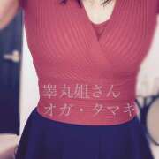 ヒメ日記 2025/04/19 12:28 投稿 小賀　たまき 回春マッサージメンズエステ宇都宮