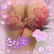 ヒメ日記 2026/03/29 09:42 投稿 ひまり 熟女家 豊中蛍池店