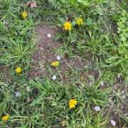 ヒメ日記 2026/04/06 17:24 投稿 ひまり 熟女家 豊中蛍池店