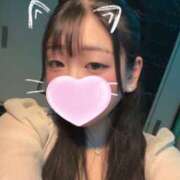 ヒメ日記 2026/03/10 21:05 投稿 らら パイの巣