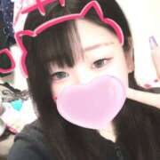 ヒメ日記 2026/03/18 20:11 投稿 らら パイの巣