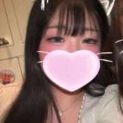 ヒメ日記 2026/03/26 19:34 投稿 らら パイの巣