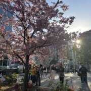 ヒメ日記 2026/04/16 21:30 投稿 らら パイの巣