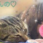 りんの 秋の𓏸𓏸だよぉ🍁 奥様特急三条店