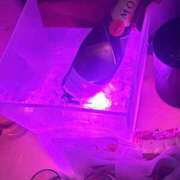 ヒメ日記 2026/04/04 10:02 投稿 のん CHERRY DAYS WEST(チェリーデイズウエスト)