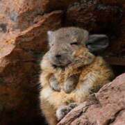 ヒメ日記 2025/04/01 14:55 投稿 キヨミ ソープランドMAX‐マックス- 浅草店