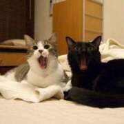 ヒメ日記 2025/10/15 13:58 投稿 キヨミ ソープランドMAX‐マックス- 浅草店