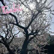 ヒメ日記 2025/03/26 10:04 投稿 つき 大阪ミナミ人妻援護会