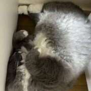 ヒメ日記 2025/06/15 20:51 投稿 Shiki THE PREMIUM （プレミアム）