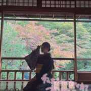 ヒメ日記 2025/02/15 14:22 投稿 莉音-rion- 品川エッセンス