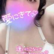 ヒメ日記 2025/02/19 19:03 投稿 かおり CURVY POP 池袋店