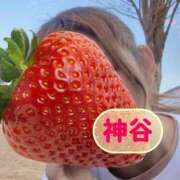 ヒメ日記 2025/03/06 20:56 投稿 神谷 昼顔妻 五反田店