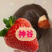 ヒメ日記 2025/03/26 07:46 投稿 神谷 昼顔妻 五反田店