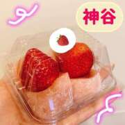 神谷 5月の、きもち 昼顔妻 五反田店