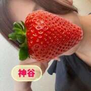 神谷 毎日溶けてます、、💕 昼顔妻 五反田店