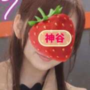 ヒメ日記 2026/04/12 13:46 投稿 神谷 昼顔妻 五反田店