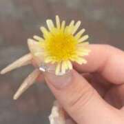 ヒメ日記 2025/04/18 11:44 投稿 ぴょん カノジョ感　逆セーラー服しか勝たん　錦店