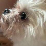 ヒメ日記 2025/06/14 11:24 投稿 ぴょん カノジョ感　逆セーラー服しか勝たん　錦店