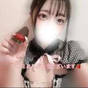 ヒメ日記 2025/09/01 15:54 投稿 ぴょん カノジョ感　逆セーラー服しか勝たん　錦店